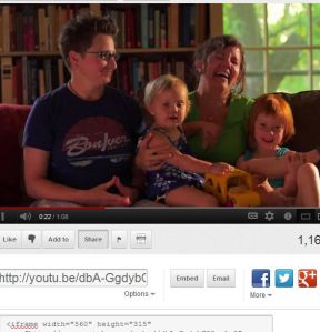 FireShot Screen Capture #887 - 'Know to Vote NO on the MN Marriage Amend