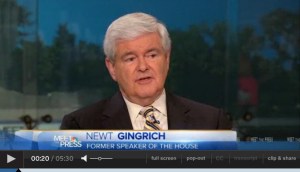 newt_on_MTP