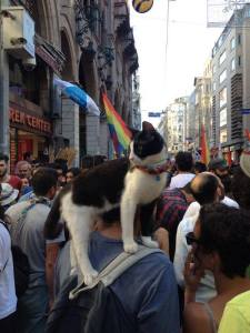 1011142_528222997241717_1046339567_n