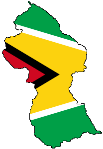 guy_flag