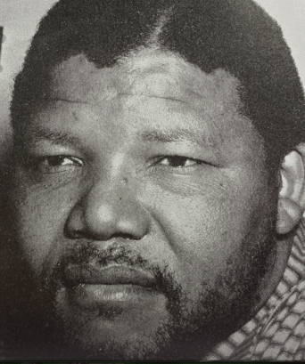 Screen Shot 2013-06-23 at 2.45.53 PM