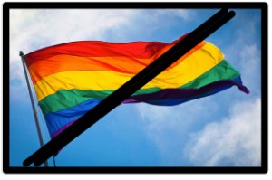 Gay_Rainbow_Flag_Creator_say_NO_Rainbow_Flags_at_Olympics_in_Sochi_Russia___O-blog-dee-o-blog-da 2-1