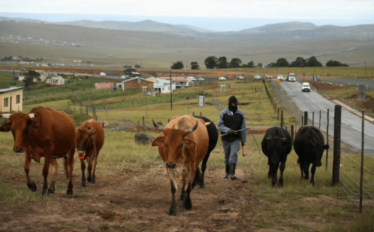 Screen Shot 2013-12-14 at 9.09.18 PM