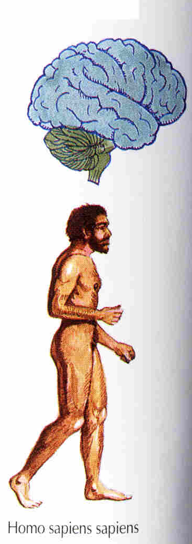 Screen Shot 2014-02-14 at 9.51.37 AM