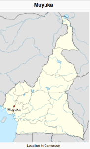 Screen Shot 2014-03-26 at 12.09.59 PM