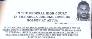 Nigerian Ifeanyi Orazulike, the Executive Director of International Center for Advocacy Nigeria, Gay