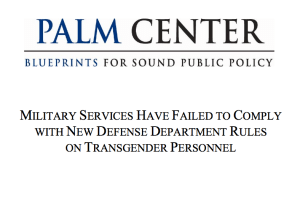 military report DOD Palm center