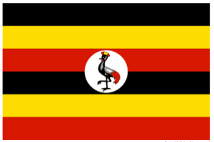 Screen Shot 2015-07-09 at 8.10.35 AM