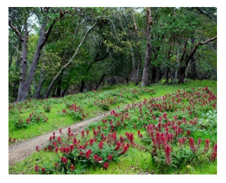 screen-shot-2016-10-10-at-12-41-42-pm