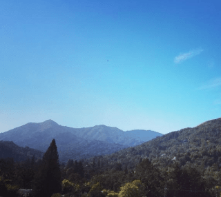 screen-shot-2016-11-17-at-2-02-45-pm