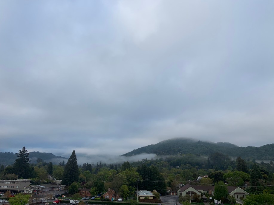 34088E17-521F-45AA-9083-7BAAB396B6DC